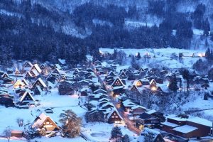 野菜達の積雪による影響を確認してきた