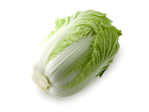 初めての白菜収穫！と寒さ対策