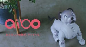ロボット犬“aibo”（アイボ）が2018年1月11日に発売予定！！
