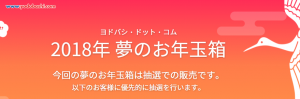 ヨドバシ・ドット・コム 2018年 夢のお年玉箱の予約受付中！！！