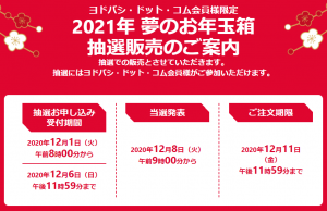 ヨドバシカメラのお年玉箱『2021年 夢のお年玉箱』の申し込みが開始！